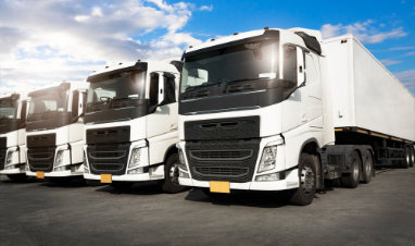 LKW Ankauf Buxtehude